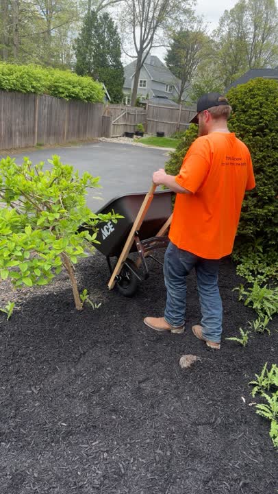 Black mulch installation around shrubs and landscape beds in Greenfield NY