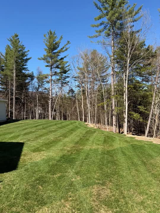 Green lawn mowing stripes beside a tree line in Greenfield NY