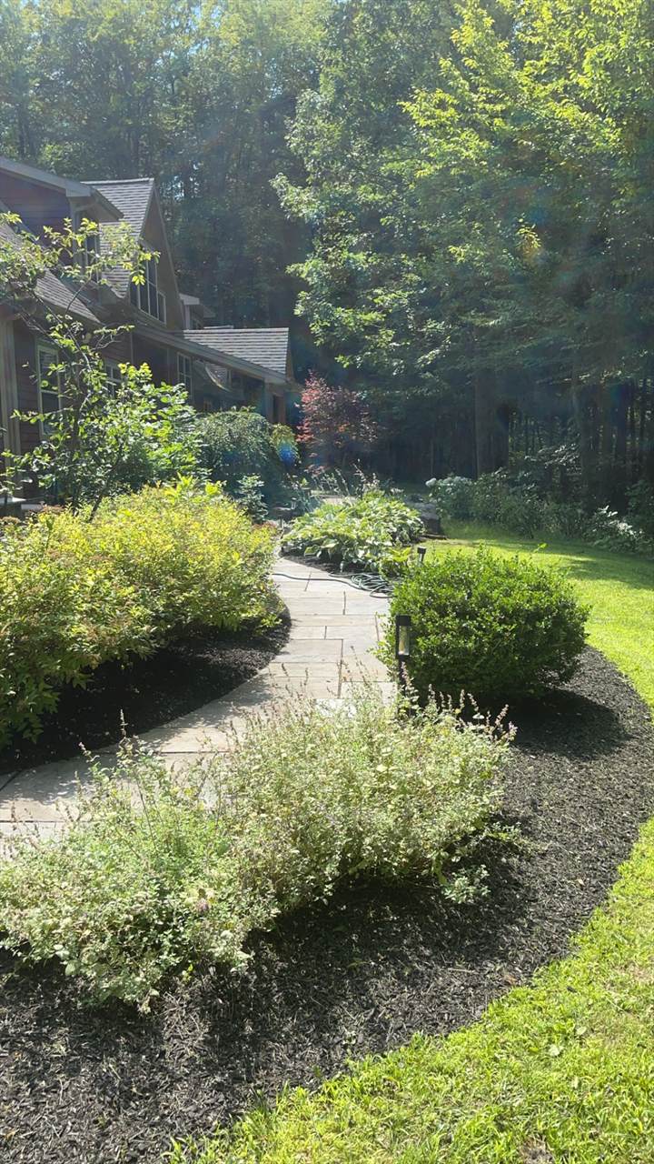 Hedge trimming work by Jasco's Landscaping near Saratoga Springs NY