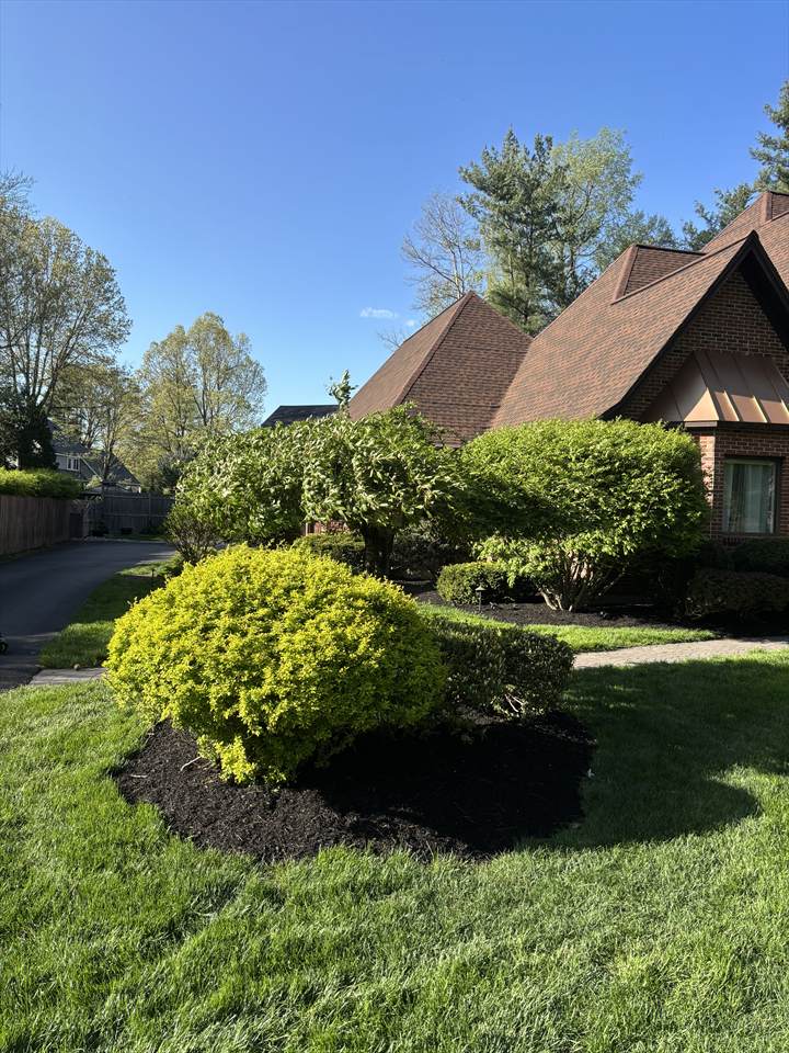 Trimmed hedge line for Saratoga County landscape maintenance