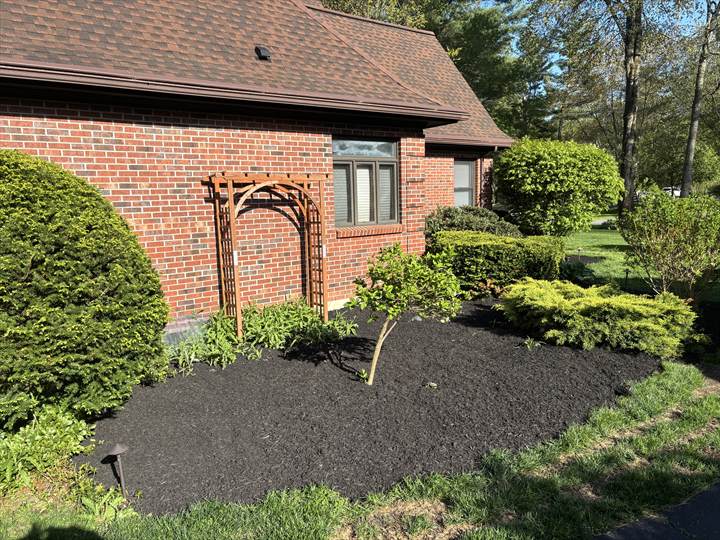 Fresh mulch and clean garden bed for Saratoga County landscaping