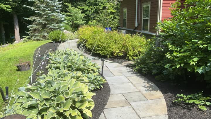 Hosta planting bed with stone walkway and clean edging in Greenfield NY